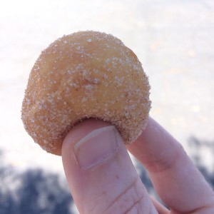 Today's donut: 8 mini sugar raised!